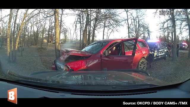 Car Thief SMASHES into Tree After Shooting at Police