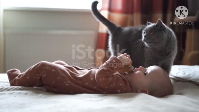 Baby and cat fun and cute - funny baby video