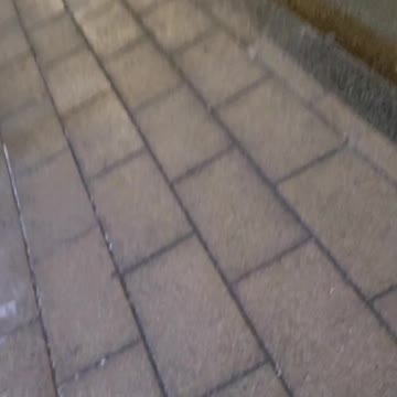 Ottawa protest January 31, 2022 raw video #10