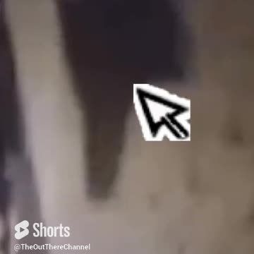 not a grim reaper but just a #raven black #bird diving towards passed seccam security #camera