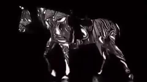 the horse 🐎🎶🐴 (@edivaldojs977)