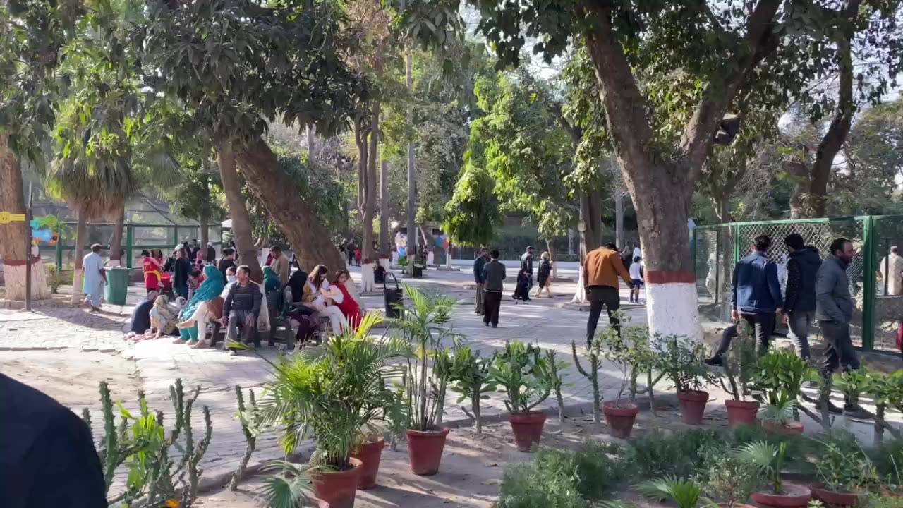 Zoo of Lahore pakistan