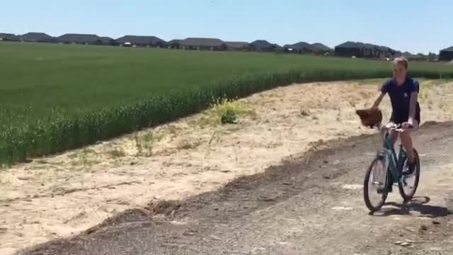 Chicken rides down the road on bike with owner