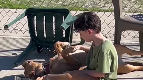 A Boy and “Not his Dog”