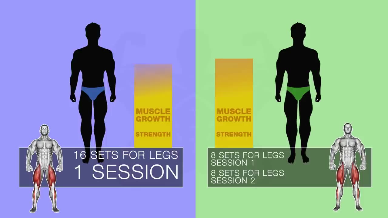 How Many Sets Should You Do Per Workout To Build Muscle-