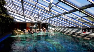 Kees is playing with the Dutch Diving Helmet at indoor diving centre Monte Mare