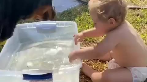 Baby and dog crazy moments