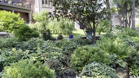Garden Tour 24 June 2023