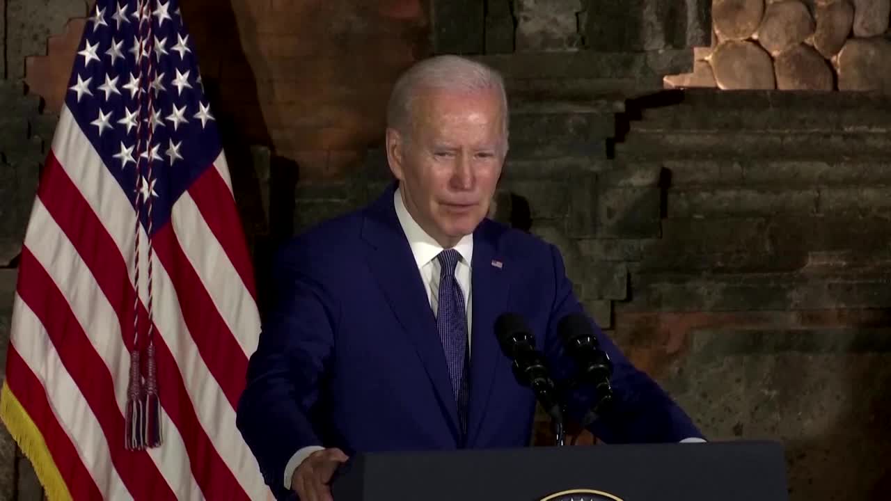 Midterm elections showed strength of U.S. democracy, says Biden