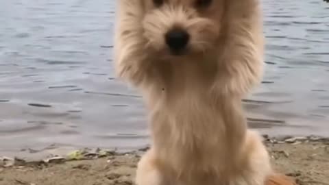 Omg just all the feels so cute!! 🥰