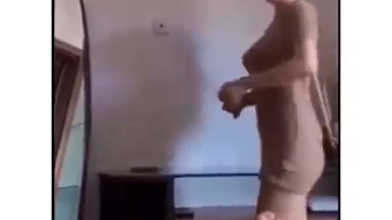 Funny videos