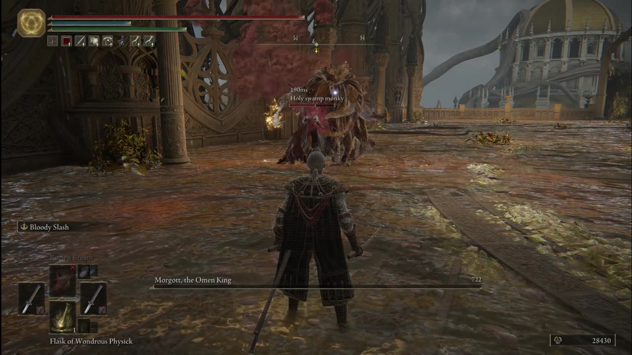 Morgot being bullied by holy swamp monkey