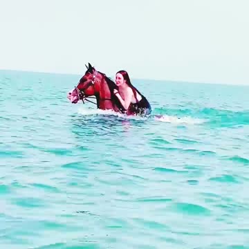 Dubai beach horse riding #horsebackriding #horse #horseride #dubailife