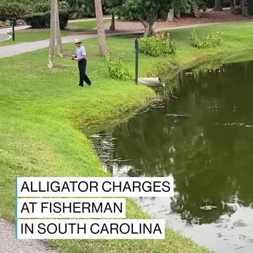 A man visiting Hilton Head, South Carolina, captured moment a fisherman was charged by an alligator