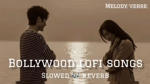 Bollywood Lofi Songs Hindi 2024