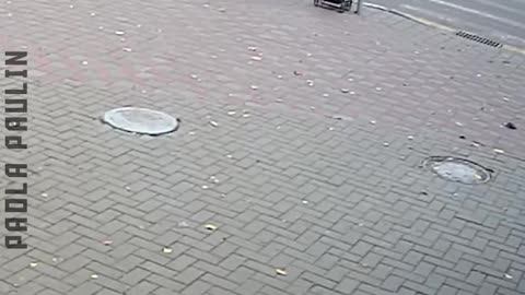 Be Careful Peeps