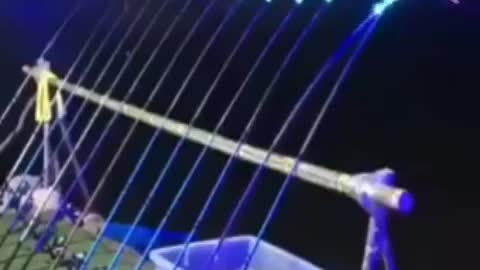 This is a beautiful and charming water-dwelling species