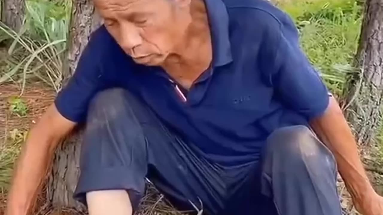 Funny video || funny status || 🤣