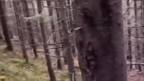 😢🇷🇺 Ukraine Russia War | Escaping Ukraine Through Forests | Emotional Journey | RCF