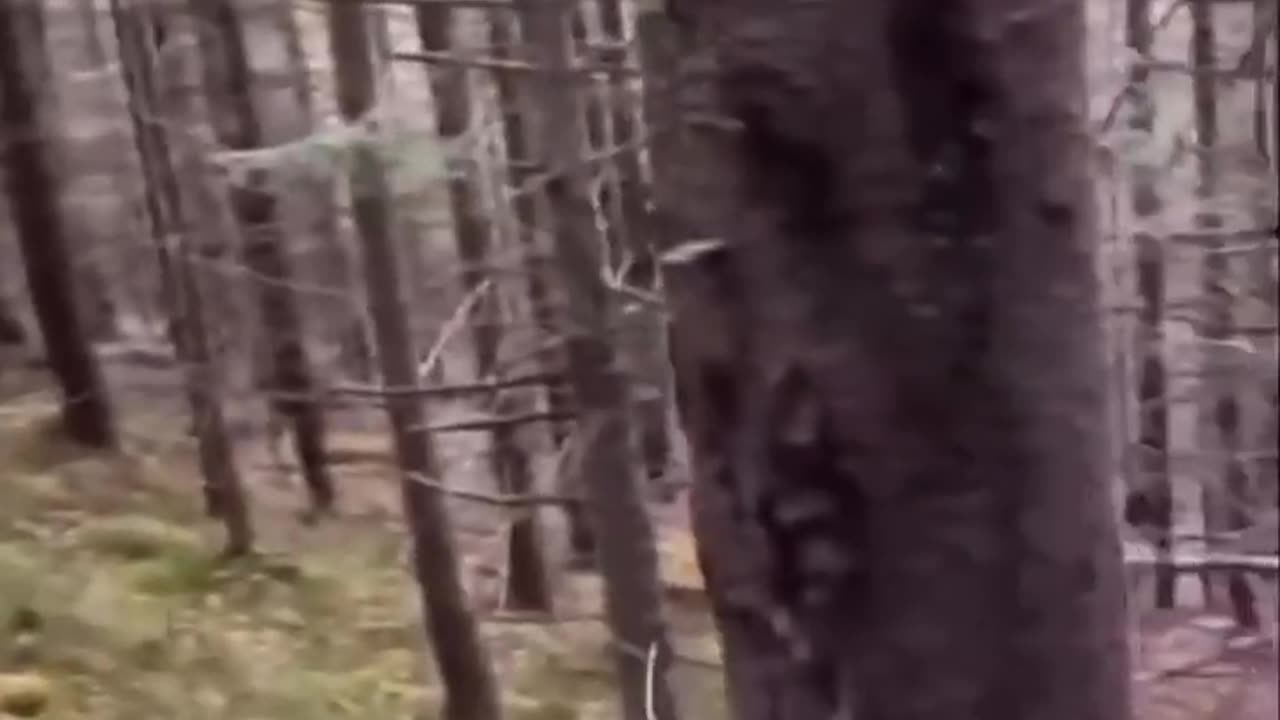 😢🇷🇺 Ukraine Russia War | Escaping Ukraine Through Forests | Emotional Journey | RCF