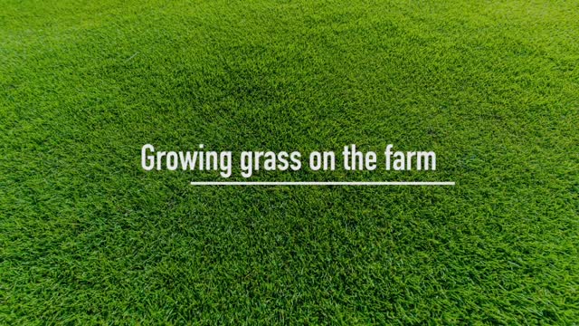 How is turf grown, harvested and delivered Contactless Grass Delivery