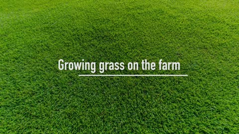 How is turf grown, harvested and delivered Contactless Grass Delivery