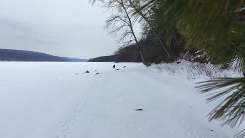 Hemlock Lake Excursion