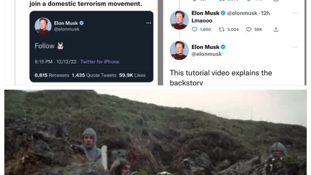 Elon Explanation: Follow 🐰