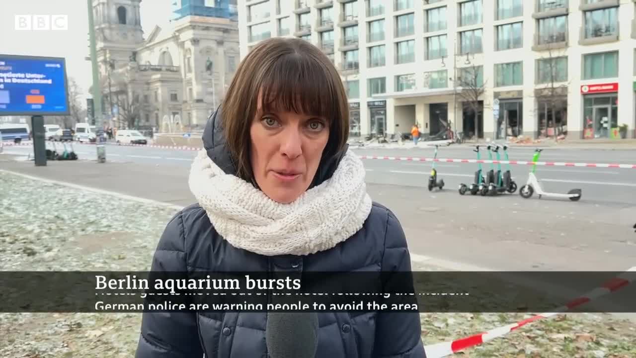 Giant Berlin hotel aquarium with 1,500 fish explodes - BBC News