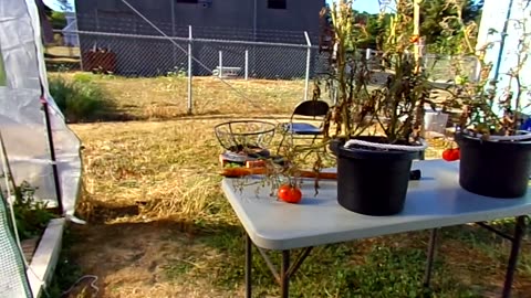 Survival Garden Update 9/5/23: