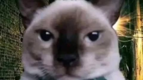 News Break: Look at me.