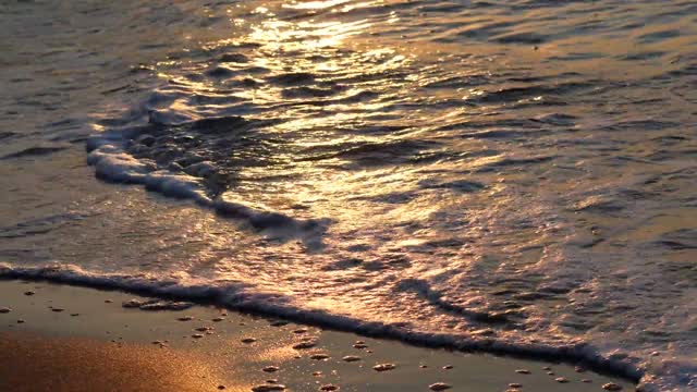 The most beautiful video of the seaside