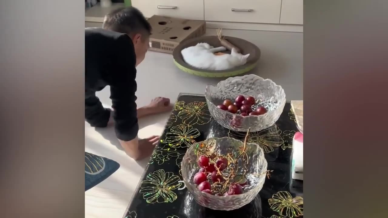 New Funny Videos 2023 😍 Cutest Cats and Dogs 🐱🐶
