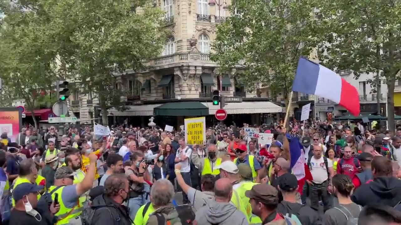 Masivas marchas contra el pase sanitario en Europa (6)