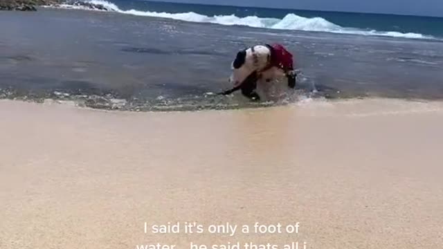 I said it's only a foot of water... he said thats all i need