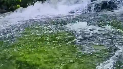beauty of nature 95