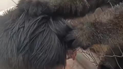 The world's best funny videos that you won't find anywhere else.😂😂😂😂😂