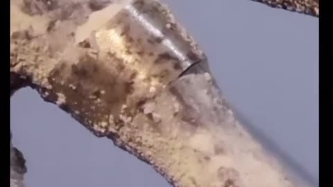 Do Aliens wear jewelry's