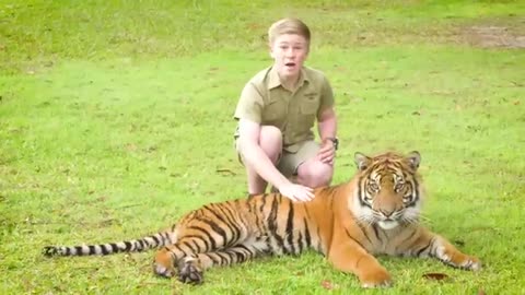 Animal video