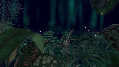 Capture the Flock of Light