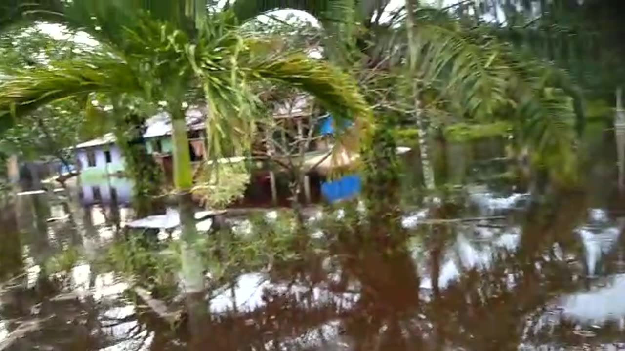 suasana kampung halaman