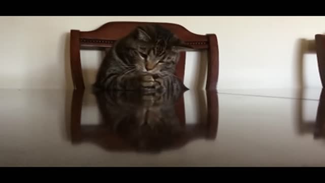 🤫​🤫​🤫​SSSSHHHHHHH