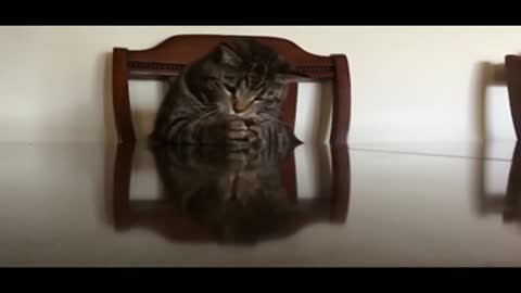 🤫​🤫​🤫​SSSSHHHHHHH