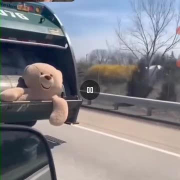Teddy Bear Last Ride