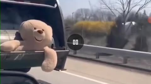 Teddy Bear Last Ride