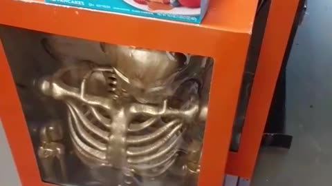 Buttermilk pancakes & gold skeleton. Day 2.