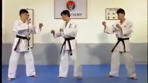 Hapkido