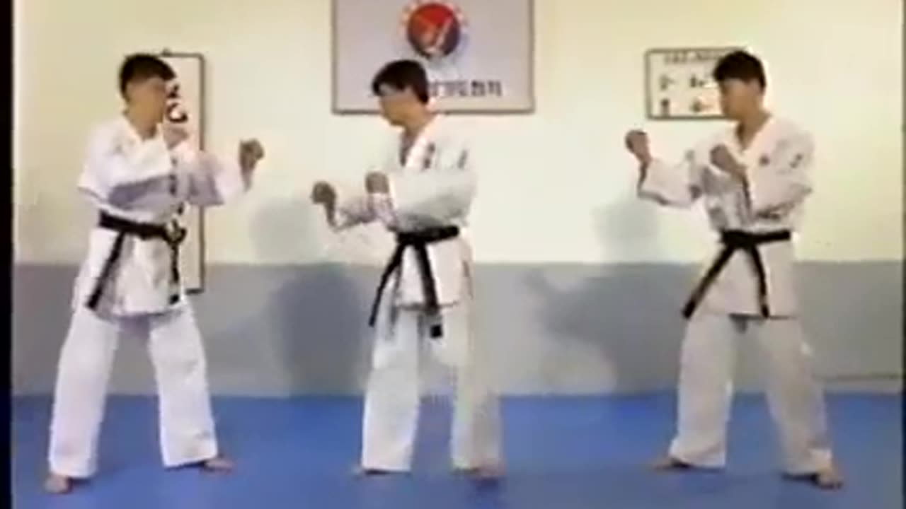 Hapkido