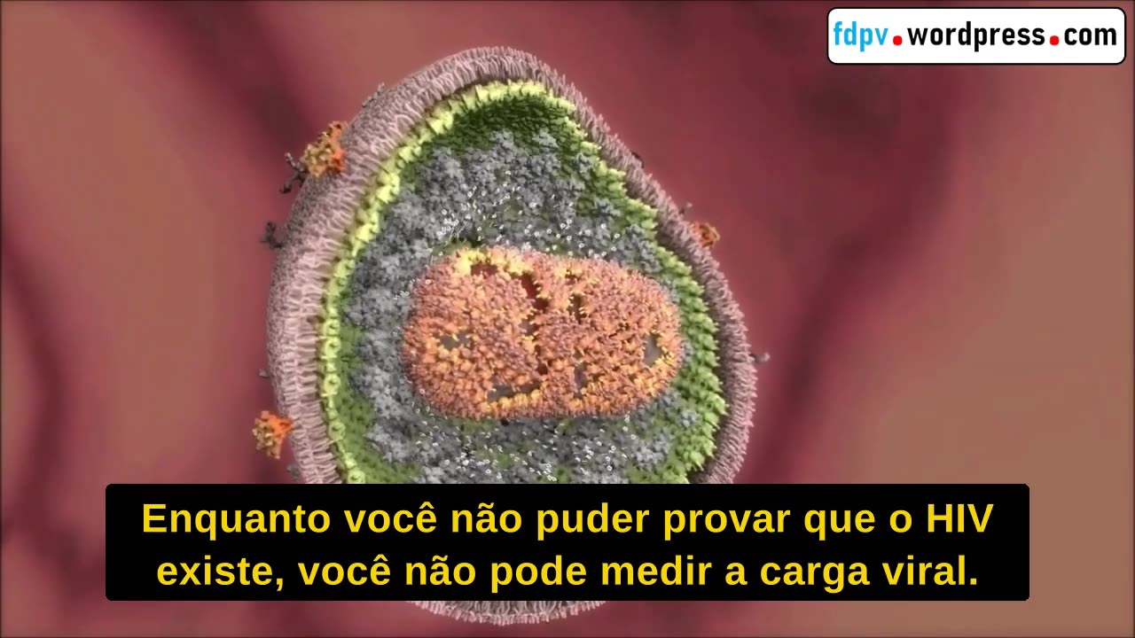 OS VÍRUS NÃO PODEM PROPAGAR-SE ENTRE OS SERES HUMANOS OU ENTRE ANIMAIS