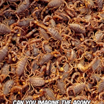 They say Immortality is Coming: God Has A Different Plan!